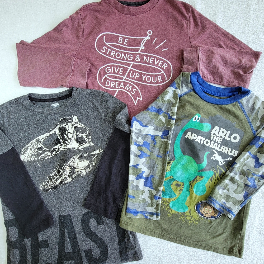 Lot Of 3 Long Sleeve T-Shirts Sz 5 6-7 Back To School Dinosaur Arlo Apatosaurus